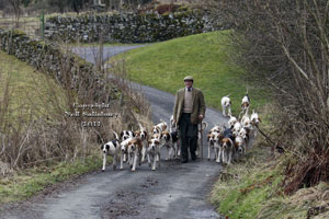 Coniston Hounds prints by Betty Fold Gallery